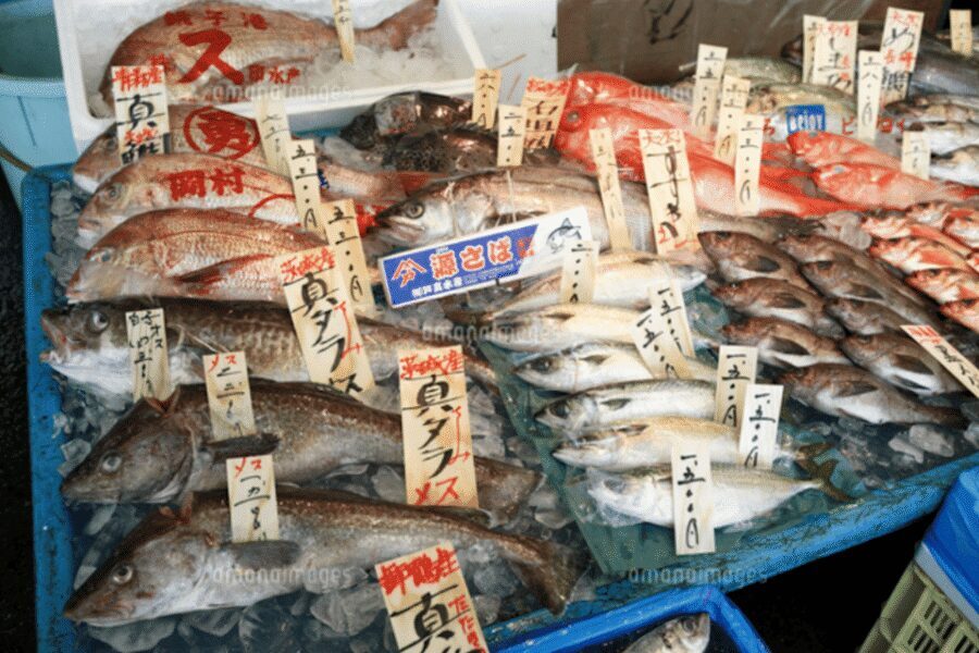 Niigata Private Custom Tour with Local Guide - Why this Niigata private custom tour is such a smart half-day