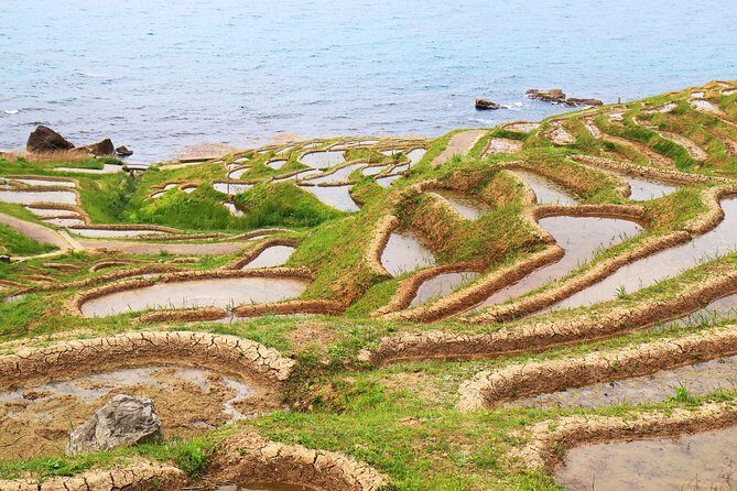 Noto peninsula 1 day/Photoshoot with professional photographer - Kanazawa station and pickup/drop-off: reducing travel friction