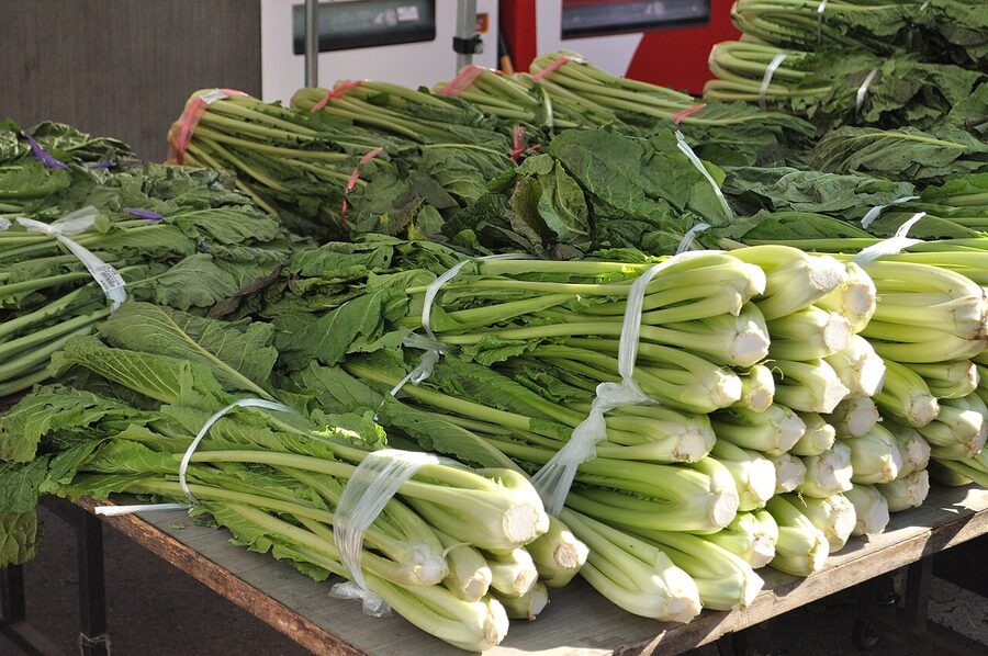 Bowl of Nozawana pickled greens