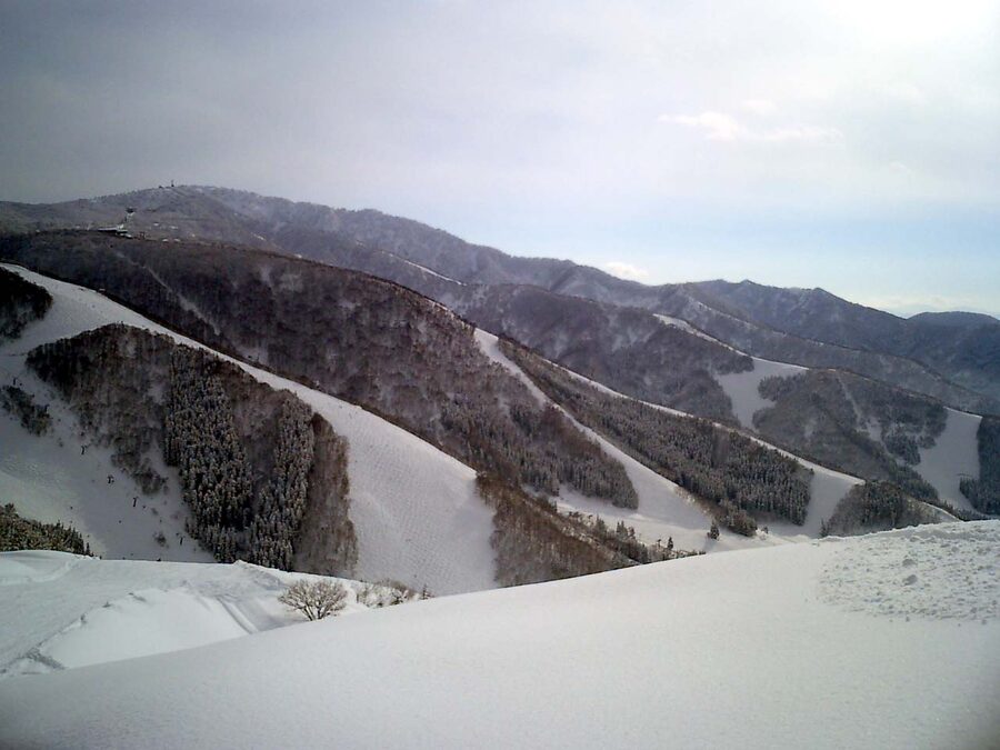 Nozawa Onsen pisted run with skiers