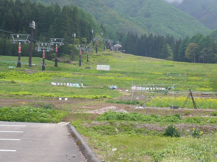 Nozawa Onsen ski slopes used as fields in summer