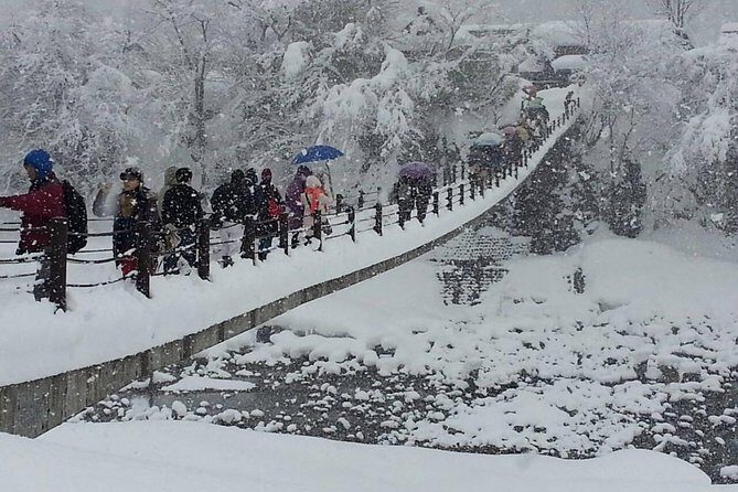 [One-day bus tour departing from Kanazawa Station] Shirakawa-go and Gokayama - Two World Heritage Villages Enjoyable Bus Tour - Lunch between villages: a Hida set meal that’s part of the plan