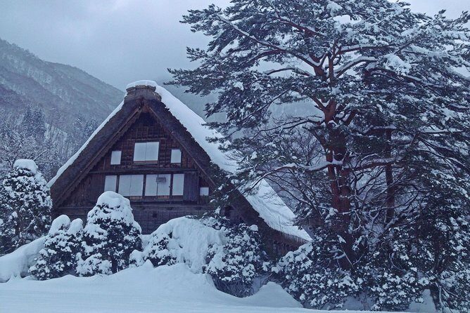 [One-day bus tour departing from Kanazawa Station] Shirakawa-go/Takayama tour platinum route bus tour - Shirakawa-go freedom walk: 11:30 a.m. worth of village time