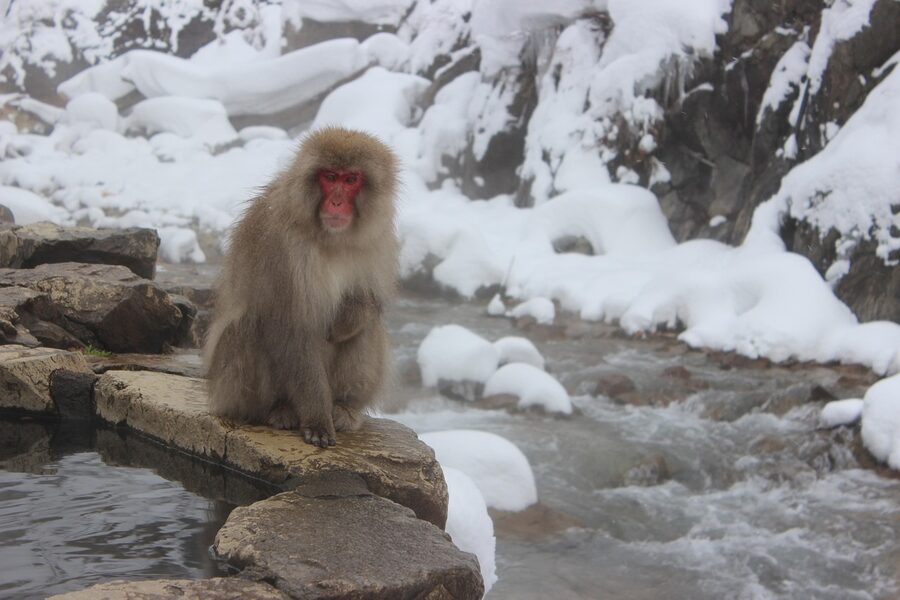 Outdoor rotenburo bath in Japan
