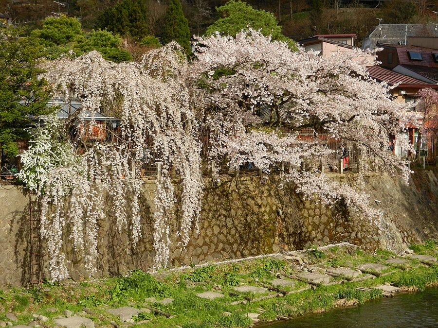 Takayama Old Town the gateway to Okuhida Onsen-go