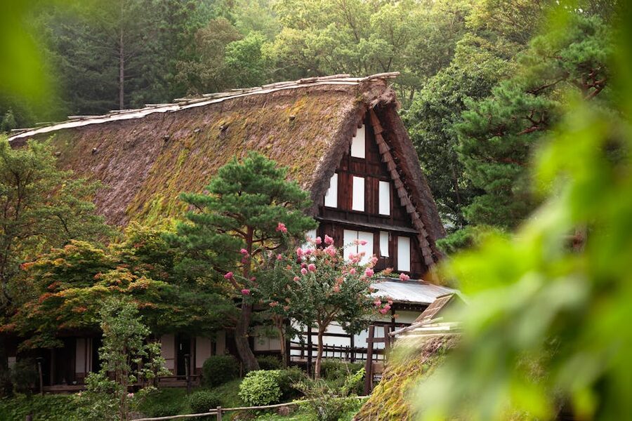 Gassho-zukuri farmhouse with thatched roof in lush summer foliage near Takayama