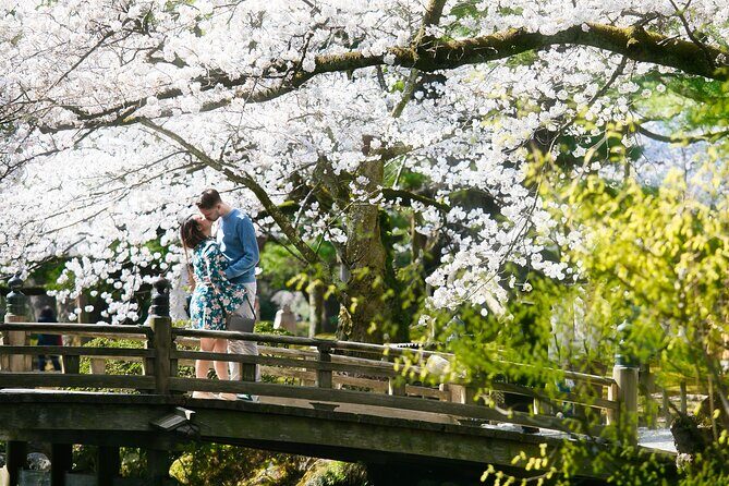 Photoshoot session by professional photographer in Kanazawa - Higashichaya vs. Kenrokuen: pick the mood you want on camera