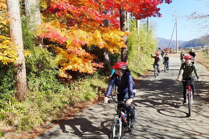 Private Afternoon Cycling Tour in Hida-Furukawa - Why Hida-Furukawa by bike feels like the real countryside
