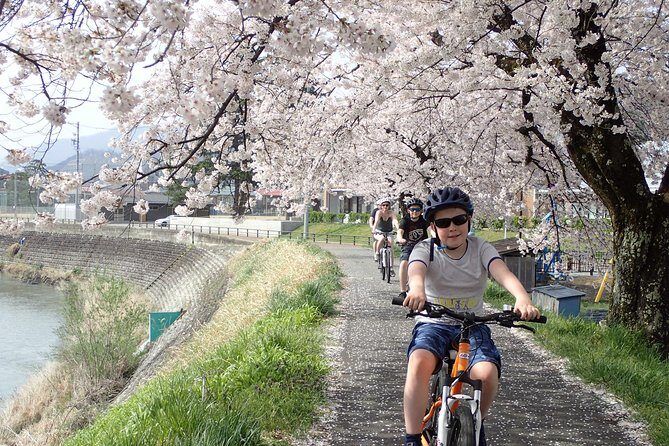 Private Afternoon Cycling Tour in Hida-Furukawa - The Satoyama stories you’re actually there for
