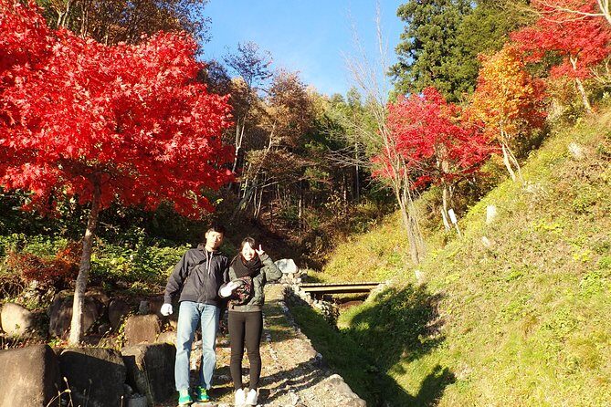 Private-group Morning Cycling Tour in Hida-Furukawa - Why Hida-Furukawa morning cycling feels different