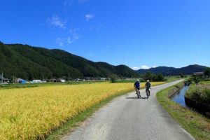 Private-group Morning Cycling Tour in Hida-Furukawa - What you’ll actually see: old town, market, folk houses, rice paddies