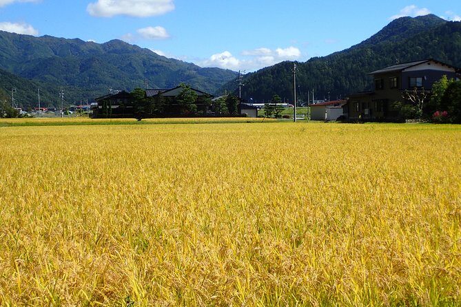 Private-group Morning Cycling Tour in Hida-Furukawa - Who this tour fits best (and who should skip it)