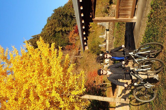 Private-group Morning Cycling Tour in Hida-Furukawa - Quick logistics you should know before you go
