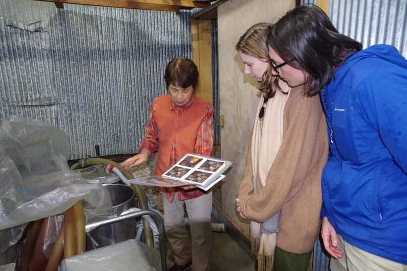 Private Matsumoto Castle & Sake – Taste of Local Life - Should You Book This Matsumoto Castle & Sake Tour?