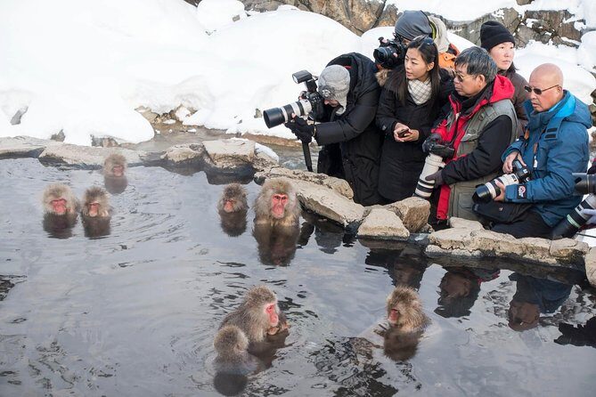 Private Nagano 1-Day Tour:Snow Monkeys,Zenko-ji,Obuse,Sake,Onsen - Stop 3: Obuse town for sake time and a slower pace