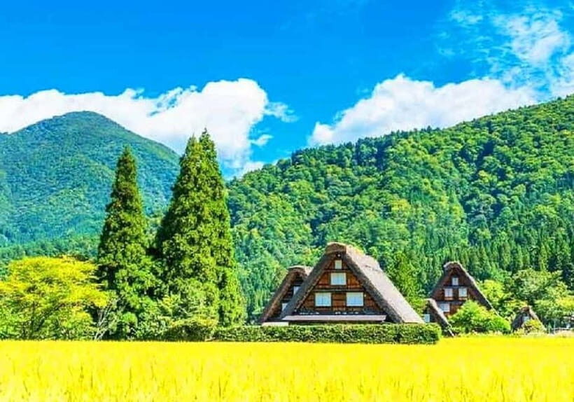 Private Nagoya & Shirakawa-go w/ English Driver - Long Road Time: Comfort Planning for Hot Days