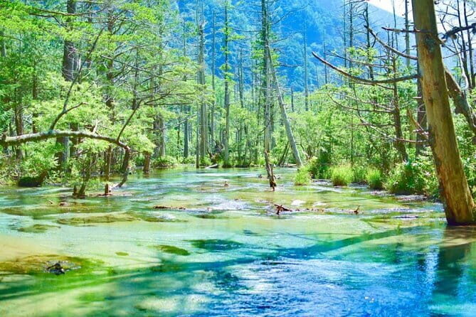 Private Shinhotaka Ropeway and Kamikochi Tour - Kamikochi walking: Taisho Pond, Azusa River, and Kappa Bridge