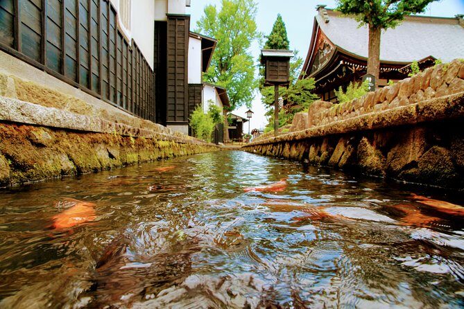 Private Tour Kanazawa, Shirakawago, Hida Furukawa,Takayama - English-Speaking Drivers: The Real Secret Sauce