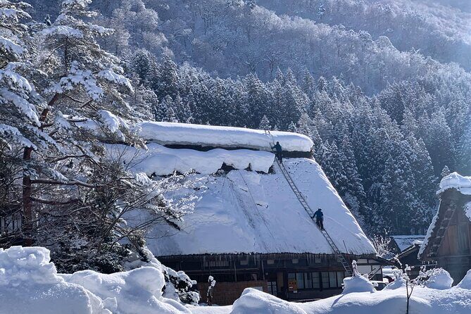 Private Tour of Shirakawago from Kanazawa (Half Day) - Price and Value: Is $223.55 Per Person Fair?