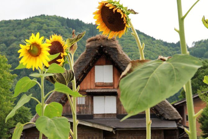 Private transfer Kanazawa to Takayama Including Shirakawago - Key things to know before you go