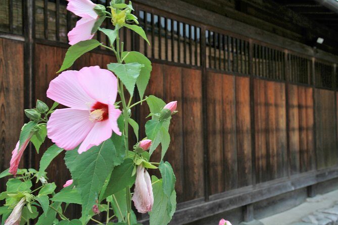 Private transfer Kanazawa to Takayama Including Shirakawago - The driver quality: punctual, careful, and actually helpful