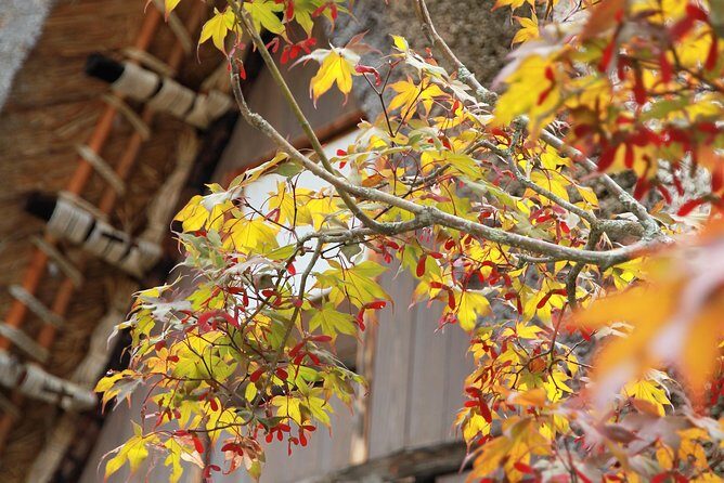 Private transfer Kanazawa to Takayama Including Shirakawago - Price and value: what $269.23 per person gets you