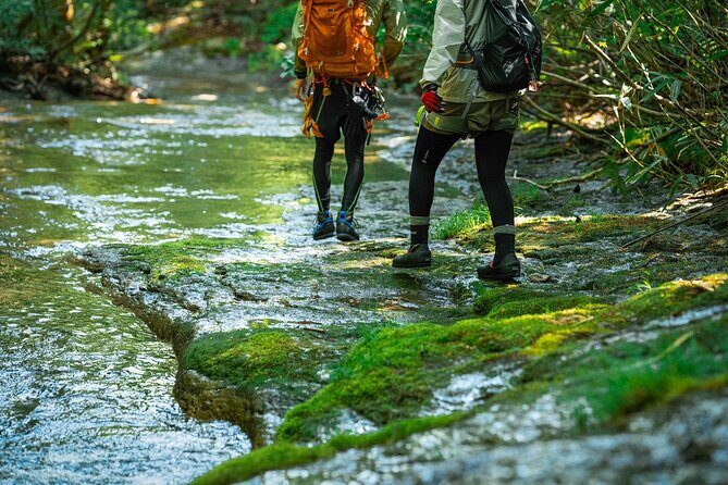Sawanobori River Trekking Tour - The Water Theme: Why Volcanic Terrain Makes This Walk Different