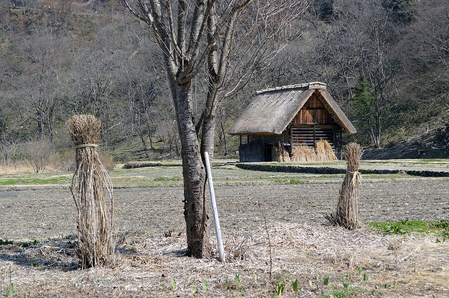 Gassho-zukuri farmhouse on the edge of Ogimachi village
