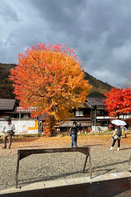 Shirakawa-go UNESCO Half-Day Tour from Takayama - Timing Matters: Early Departures, Later Crowds