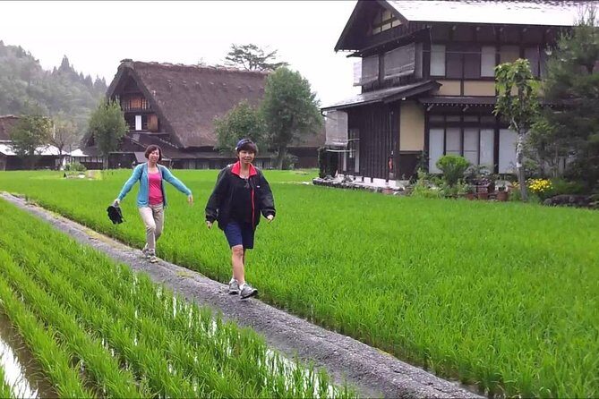 Shirakawago All Must-Sees Private Chauffeur Tour with a Driver (Takayama DEP.) - Timing and weather: the small details that change everything