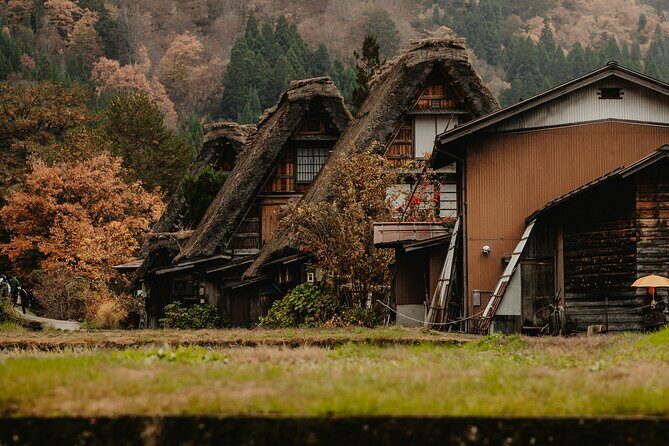 Shirakawago & Kanazawa from Kanazawa - Quick hits: what makes this Kanazawa-to-Shirakawago day work