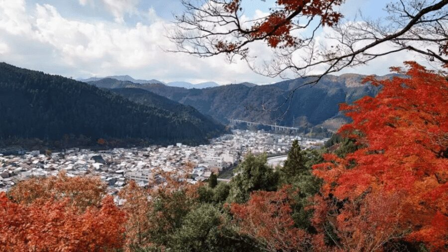 Shirakawago&HidaTakayama&GujoHachiman 1 Day Tour from Nagoya - Who This Tour Suits (and Who Might Prefer Something Slower)