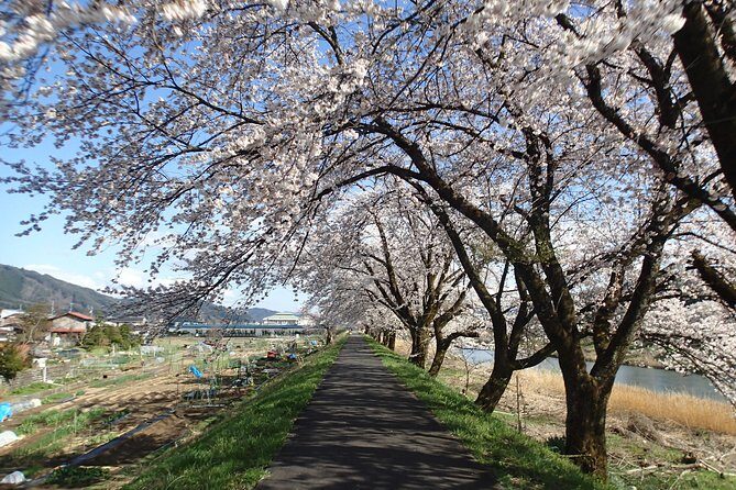 Short Morning Cycling Tour in Hida - What’s Included, What’s Not, and the No-Basket Reality