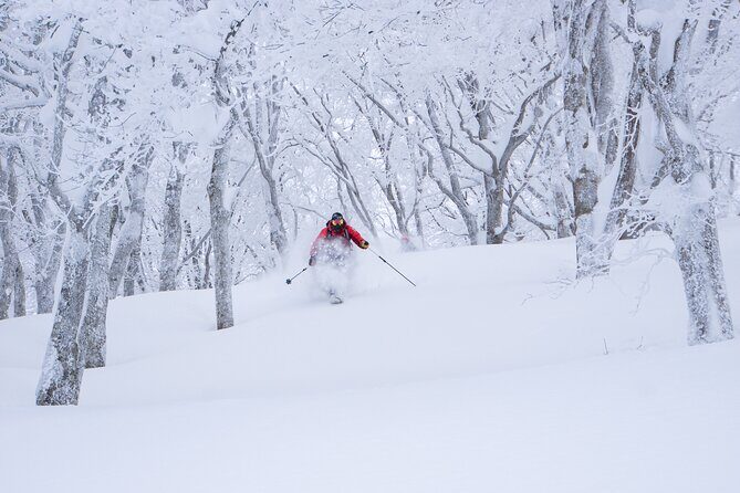 Ski or Snowboard Lesson in Shiga Kogen (4Hours) - Entering Shiga Kogen with coaching that actually targets your riding