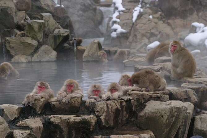 Snow Monkey Park & Miso Production Day Tour from Nagano - Stop 2: Obuse free time for streets, Hokusai links, and chestnuts