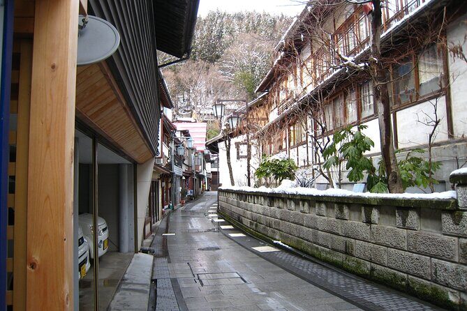 Snow Monkey & Shibu Onsen Afternoon Tour (Depart: Iiyama & Nozwa) - A 4.5-hour Nagano afternoon that mixes wild animals and old-town soaking vibes