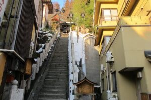 Snow Monkey & Shibu Onsen Afternoon Tour (Depart: Iiyama & Nozwa) - The Jigokudani walk: 2 km each way on winter or forest footing