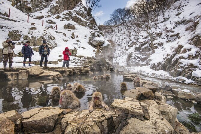 Snow Monkeys, Hokusai & Sake: A Perfect Day in Nagano - Zenkoji Temple Option for 8:45 Departures: Old Tokyo-Level Importance, But in Nagano