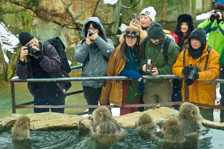 Snow Monkeys, Hokusai & Sake: A Perfect Day in Nagano - Jigokudani Snow Monkey Park: Getting the Best View of the Hot Springs