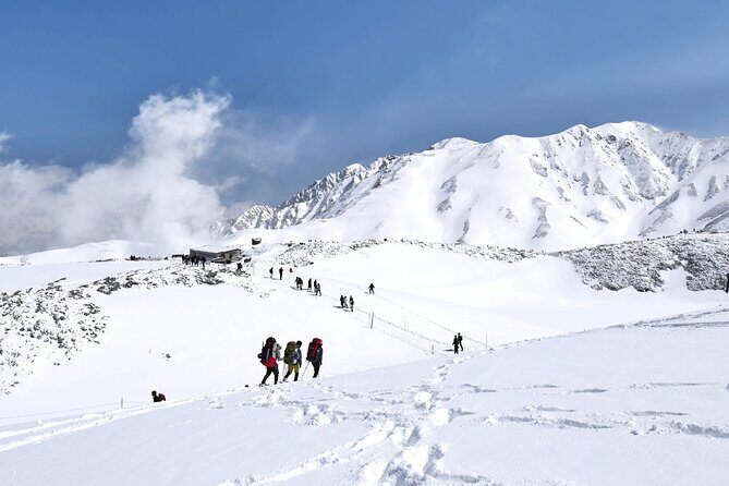 (Spring Only) 1-Day Snow Walls of Tateyama-Kurobe Alpine Route Tour - The guide factor: how the day stays organized on mountain schedules
