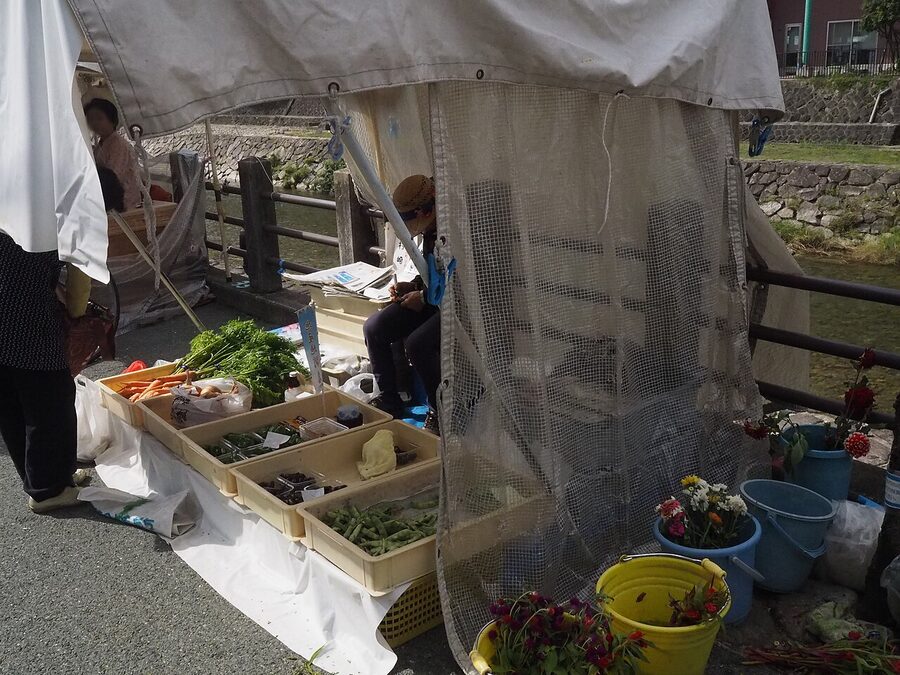 A vegetable and flower stall at Takayama morning market