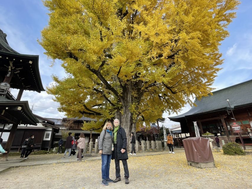 Takayama: Private Walking Tour with a Local Guide - Sanmachi Street and Edo-Era Streets That Still Feel Alive