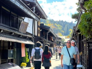 Takayama: Takayama Jinya & Old Town Private Walking Tour - Price and logistics for a 2-hour private walking tour ($68)