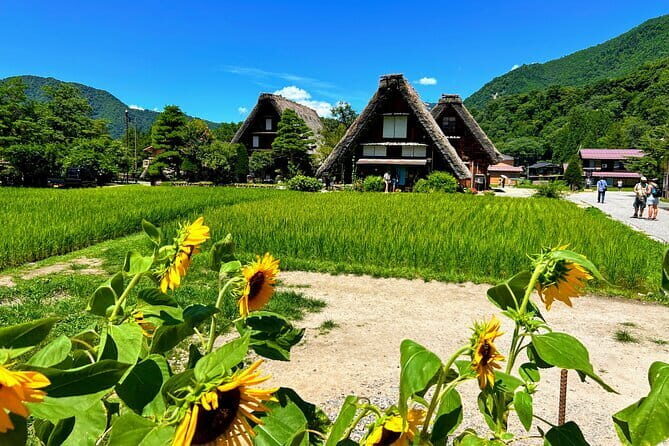 Taste of Kanazawa (Food tasting in Omicho Market & Higashi Chaya) - Who should book Taste of Kanazawa (and who might skip)