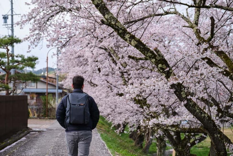 Timeless Takayama: Private Walk Through History & Beauty - Babamachi and festival-era energy: Local life, not just landmarks