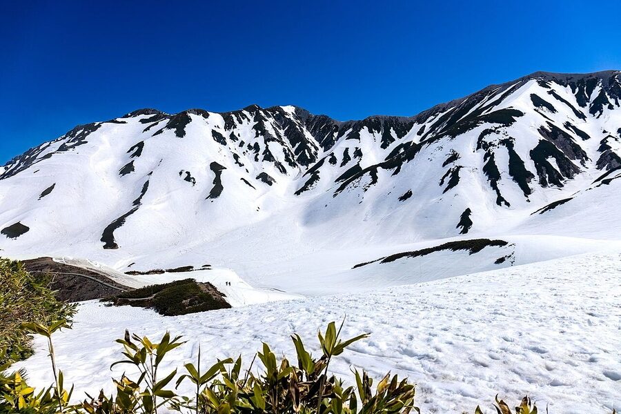 Murodo plateau in deep snow in early May
