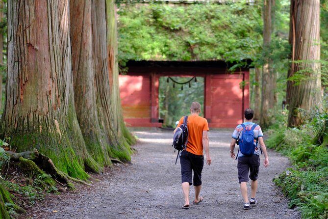 Togakushi: A Serene Walk Through Sacred Forests & Soba Traditions - Entering Togakushi’s sacred forest trails