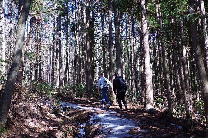 Togakushi: A Serene Walk Through Sacred Forests & Soba Traditions - Beck’s Coffee and the Nagano start you don’t want to rush