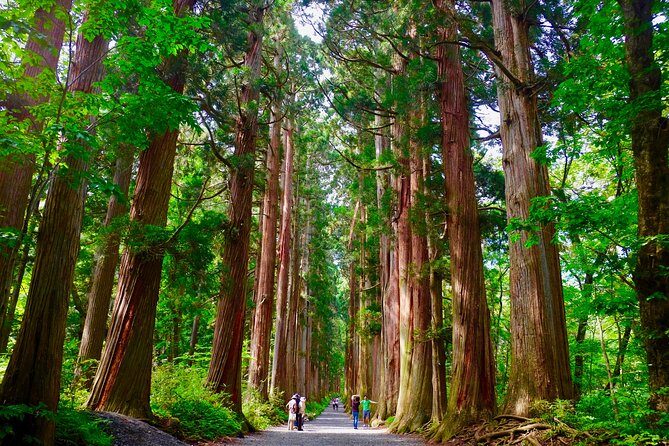 Togakushi: A Serene Walk Through Sacred Forests & Soba Traditions - Tenmeiinari Shrine: red gate energy on the way to Okusha