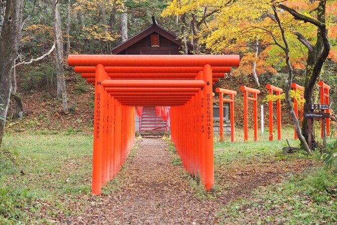 Togakushi: A Serene Walk Through Sacred Forests & Soba Traditions - Okusha Shrine and the Zuishinmon gate: the cedar corridor
